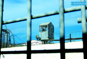 В Азербайджане были освобождены 36 осужденных 
